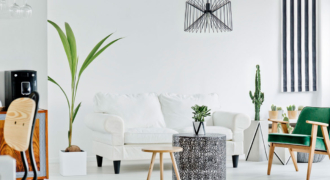 Office in Downtown Miami